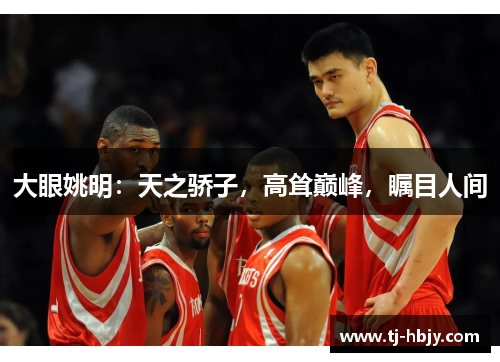 大眼姚明：天之骄子，高耸巅峰，瞩目人间