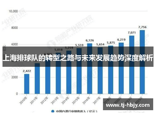 上海排球队的转型之路与未来发展趋势深度解析