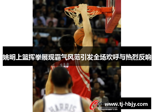 姚明上篮挥拳展现霸气风范引发全场欢呼与热烈反响